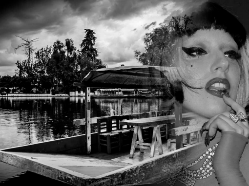 Xochimilco: chinampas, ajolotes y arte Xochimilco: chinampas, ajolotes y arte